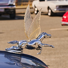 75