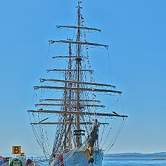 9