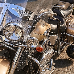 36