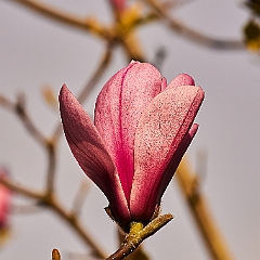130