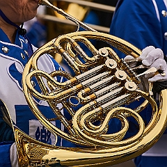291