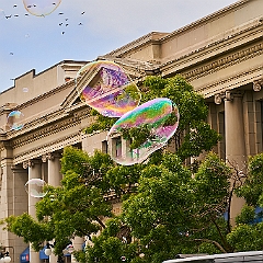 270