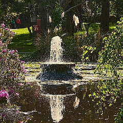 248