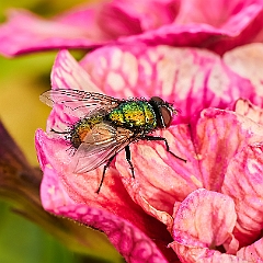 236
