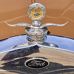 217