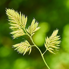 214