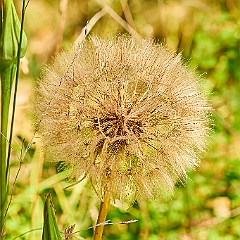 213