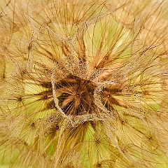 212