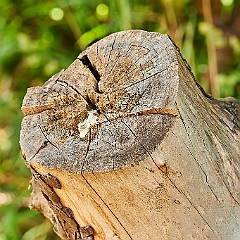 210