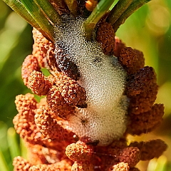 207