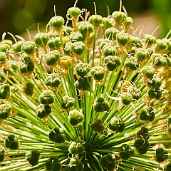 205