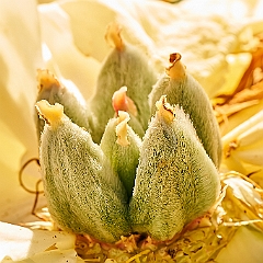 201