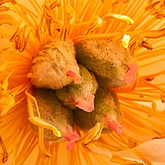 200