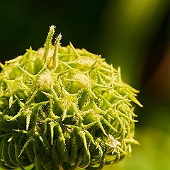 196