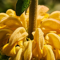 195