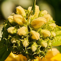 194