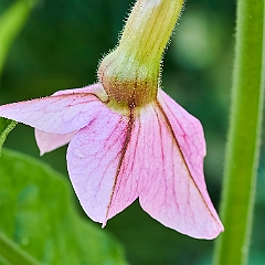 186