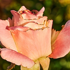 182