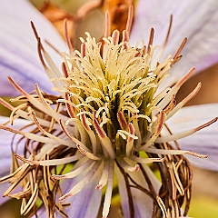 171
