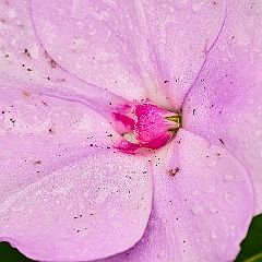 163