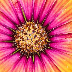 158