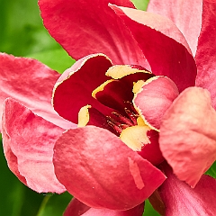 154