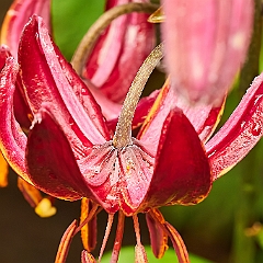 149