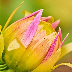143