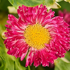 125