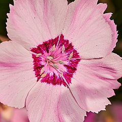 124
