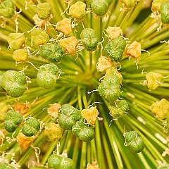 121