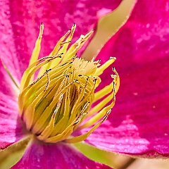 119