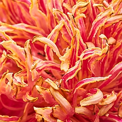 118