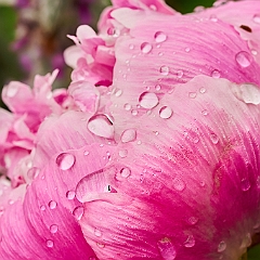 114