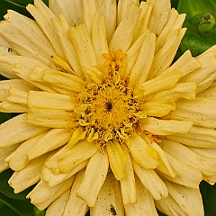 110
