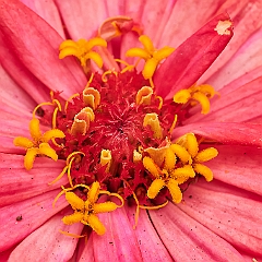 108
