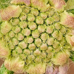 107