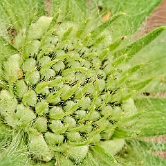 104