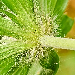 103