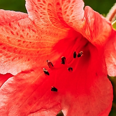 94