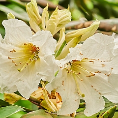 91