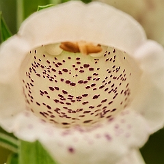 90