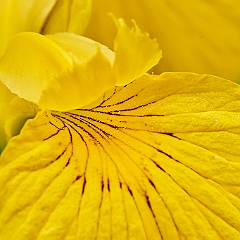88