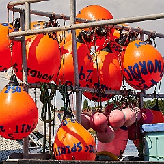 81