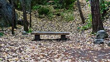 _DSC0758_DxO