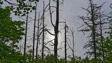_DSC0760_DxO