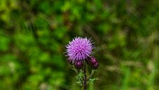 _DSC0787_DxO