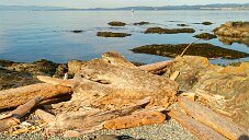 _DSF1357_DxO