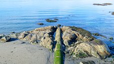 _DSF1365_DxO
